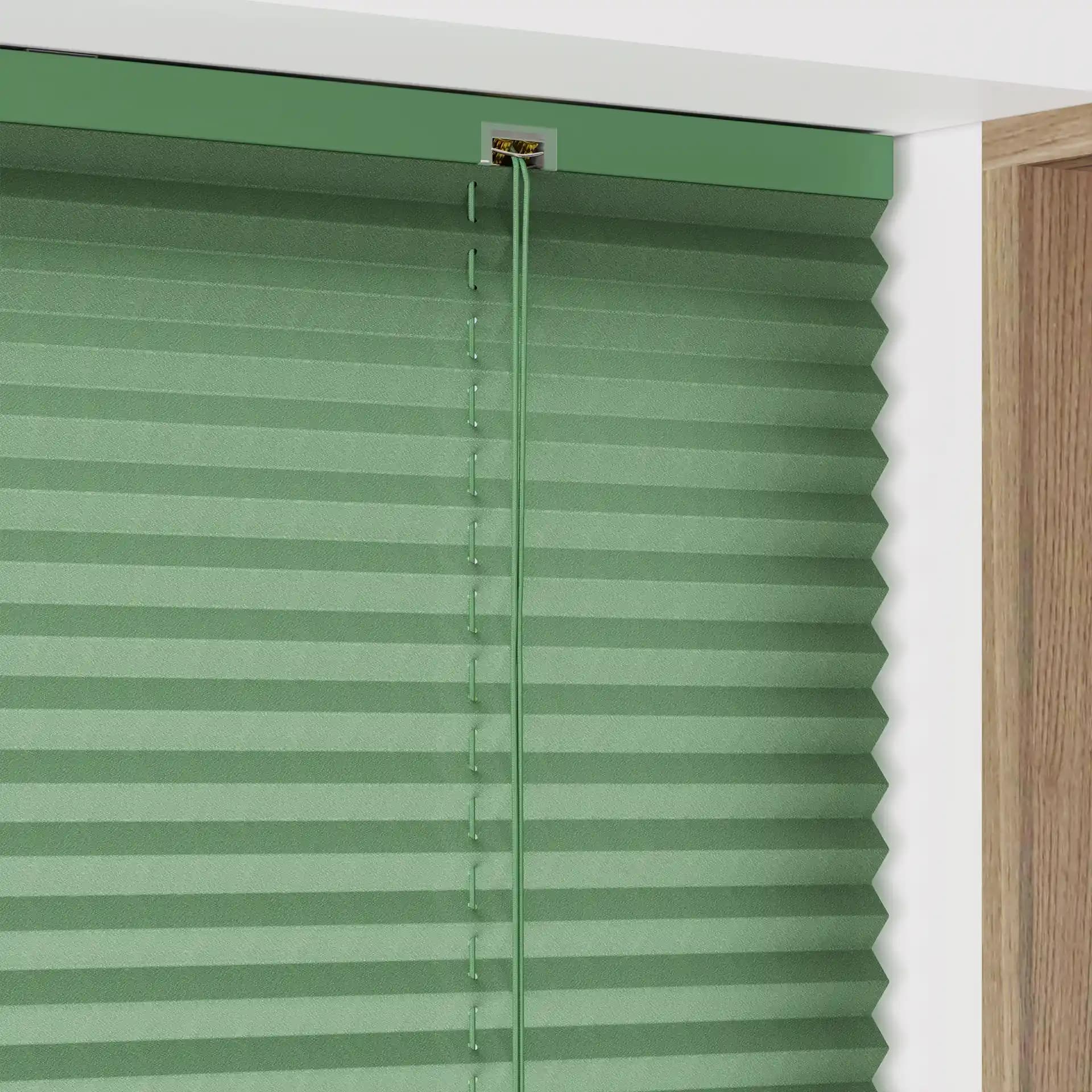 Green Pleated Blinds - Add a Touch of Elegance to Your Space